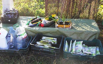 Seeds in Recycled Containers